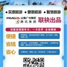 安徽騰旅網絡科技有限責任公司——專業網絡技術服務供應商