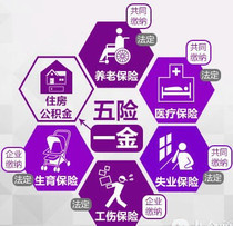 信息咨詢服務的價格、批發與廠家指南